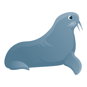 Sea lion clipart
