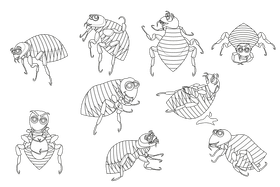 Flea black and white vector