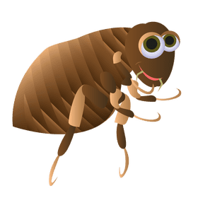 Flea friendly clipart