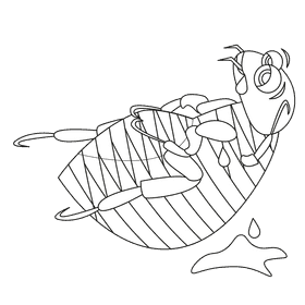 Flea overeat black and white clipart