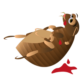 Flea overeat clipart