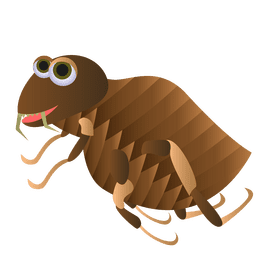 Flea running clipart