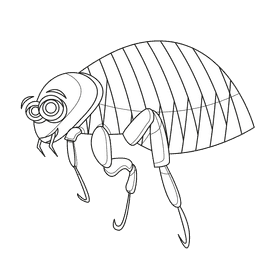 Flea side black and white clipart