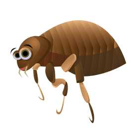 Flea side clipart