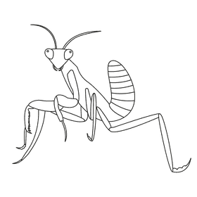 Praying mantis front black and white clipart