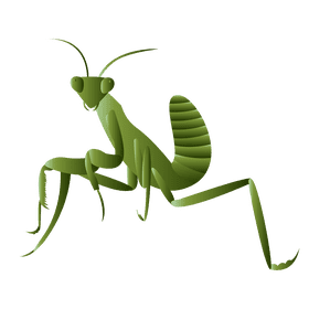 Praying mantis front clipart