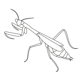 Praying mantis left black and white clipart