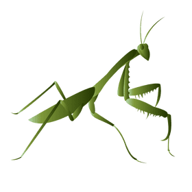 Praying mantis on the right clipart