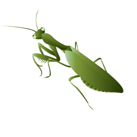 Praying mantis on top clipart