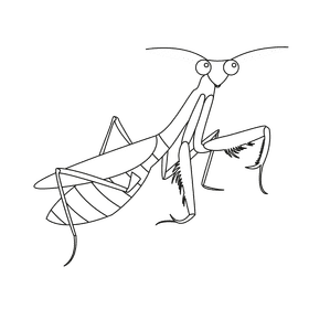 Praying mantis side black and white clipart