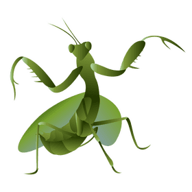 Praying mantis spread his wings clipart
