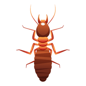 Termite clipart