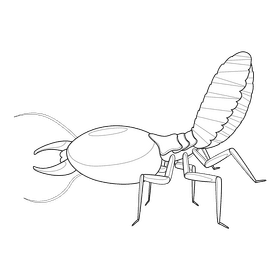 Termite climbs down black and white clipart