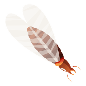 Termite larva wings clipart