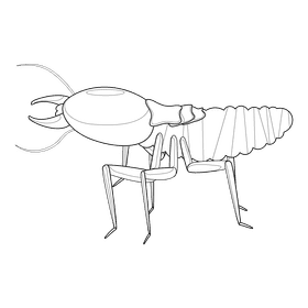 Termite black and white clipart