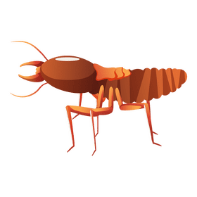 Termite clipart