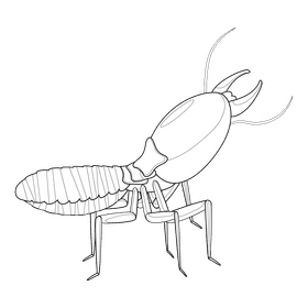 Termite looking up black and white clipart