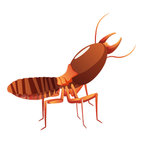 Termite looking up clipart