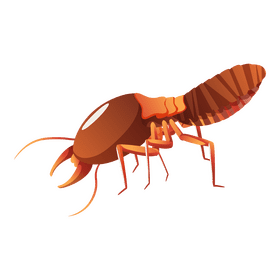 Termite clipart