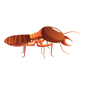 Termite insect clipart