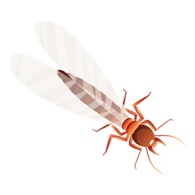 Termite wings clipart