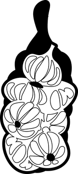 Vampire garlic black and white clipart