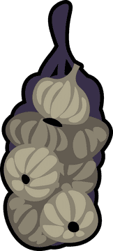 Vampire garlic clipart