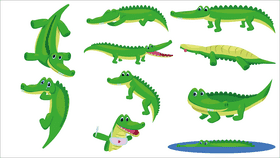 Alligator set vector
