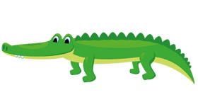 Alligator clipart