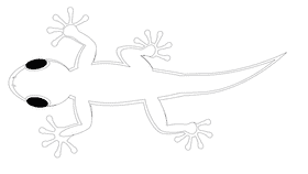 Gecko black and white clipart