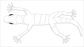 Gecko black and white clipart