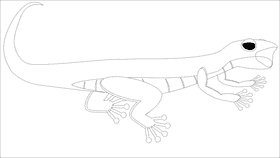 Gecko mouth black and white clipart