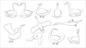 Swan bird black and white vector