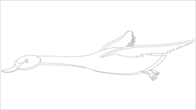 Swan flies black and white clipart