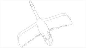 Swan flying black and white clipart