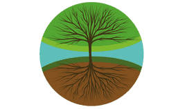 Tree of life with colored leaves and ground clipart