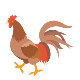 Chicken clipart