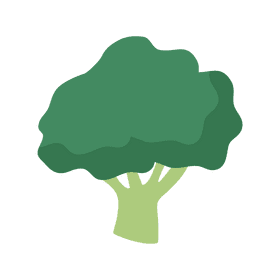 Brocoli clipart