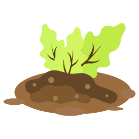 Harvest plant clipart