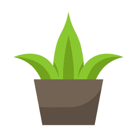 Pot plant clipart