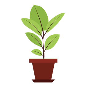 Pot plant clipart