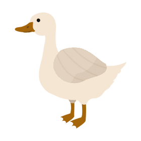 Duck clipart