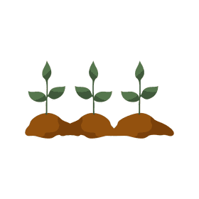 Plant clipart