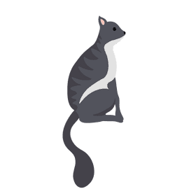 Cute cat clipart