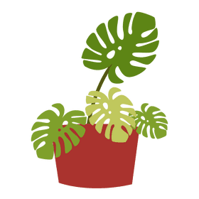 Plant clipart