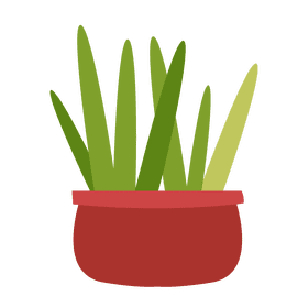 Pot plant clipart