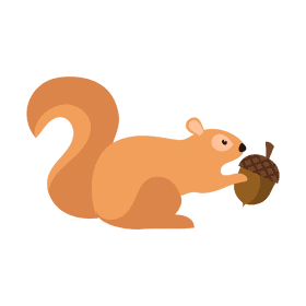 Squirell clipart
