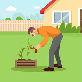 Happy man planting tomato vector