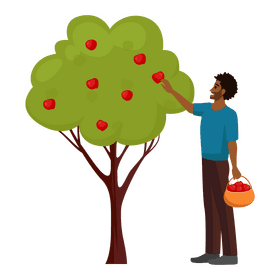 Man apple tree clipart