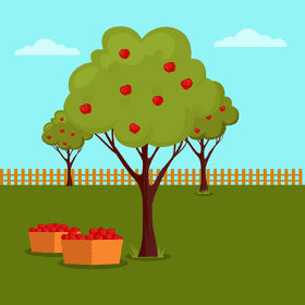 Apple garden vector